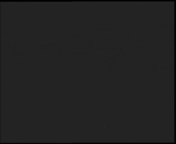 Nástup na běžecké tratě