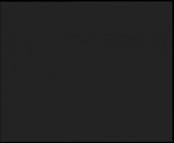 Nástup na běžecké tratě