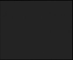 Nástup na běžecké tratě