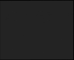 Nástup na běžecké tratě