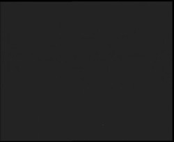 Nástup na běžecké tratě