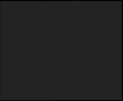 Nástup na běžecké tratě