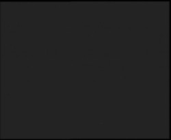 Nástup na běžecké tratě