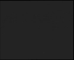 Nástup na běžecké tratě