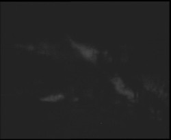 Nástup na běžecké tratě