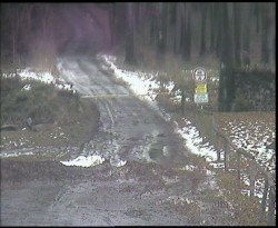 Nástup na běžecké tratě