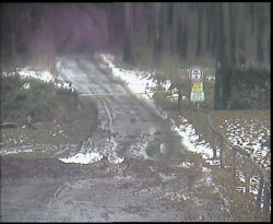 Nástup na běžecké tratě