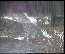 Nástup na běžecké tratě