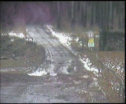 Nástup na běžecké tratě