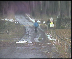 Nástup na běžecké tratě