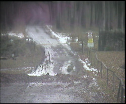 Nástup na běžecké tratě
