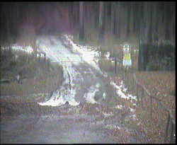 Nástup na běžecké tratě