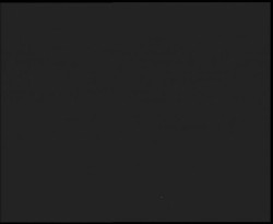 Nástup na běžecké tratě