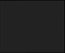 Nástup na běžecké tratě