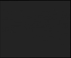 Nástup na běžecké tratě