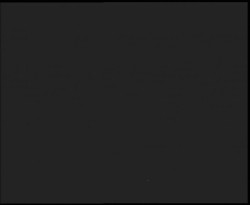 Nástup na běžecké tratě