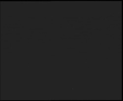 Nástup na běžecké tratě