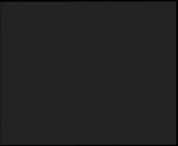 Nástup na běžecké tratě