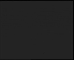 Nástup na běžecké tratě