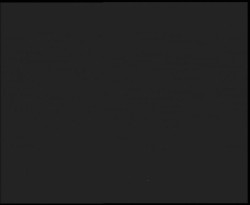 Nástup na běžecké tratě