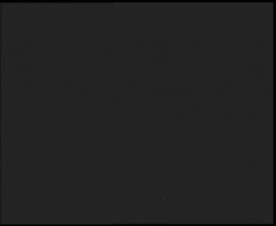 Nástup na běžecké tratě