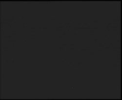 Nástup na běžecké tratě