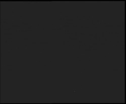 Nástup na běžecké tratě