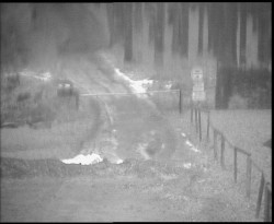 Nástup na běžecké tratě