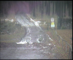 Nástup na běžecké tratě