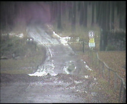 Nástup na běžecké tratě