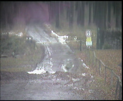 Nástup na běžecké tratě