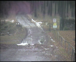 Nástup na běžecké tratě