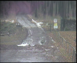 Nástup na běžecké tratě