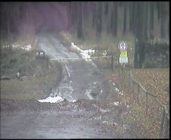 Nástup na běžecké tratě