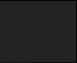 Nástup na běžecké tratě