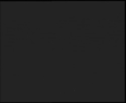 Nástup na běžecké tratě