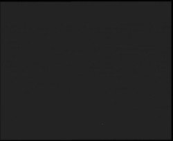 Nástup na běžecké tratě