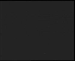 Nástup na běžecké tratě