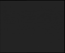 Nástup na běžecké tratě