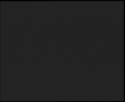 Nástup na běžecké tratě