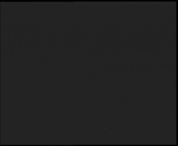 Nástup na běžecké tratě