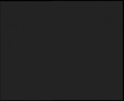 Nástup na běžecké tratě