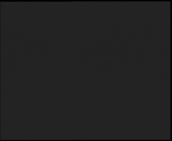 Nástup na běžecké tratě