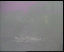 Nástup na běžecké tratě