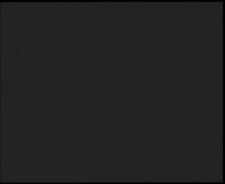 Nástup na běžecké tratě