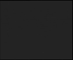 Nástup na běžecké tratě