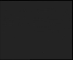 Nástup na běžecké tratě