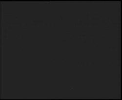 Nástup na běžecké tratě