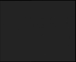 Nástup na běžecké tratě