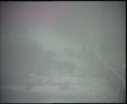 Nástup na běžecké tratě